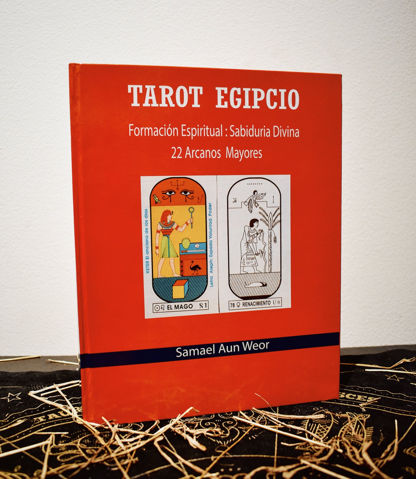 Libro Tarot Egipcio