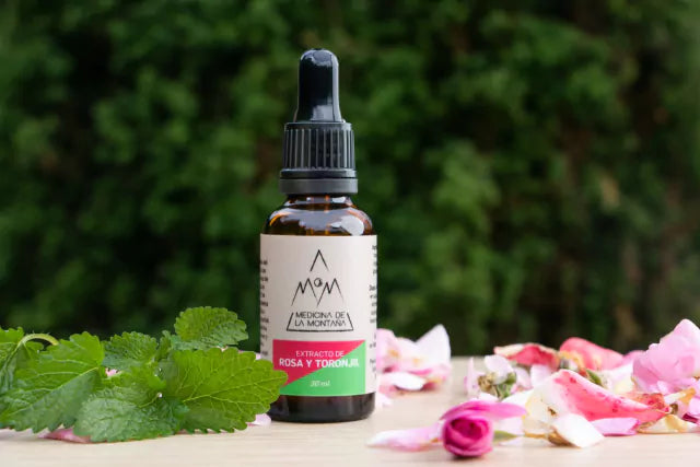 Extractos y Esencias Botánicas de Bienestar