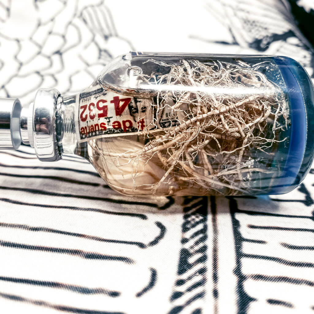 Perfume 45 Elementos