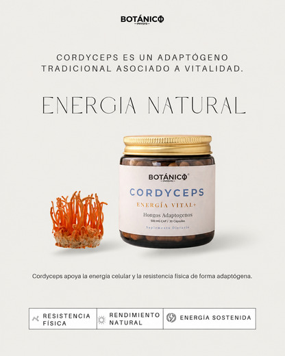 Hongos Adaptógenos