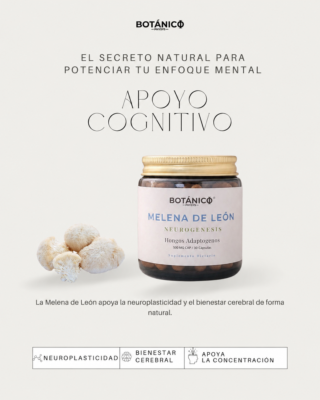 Hongos Adaptógenos