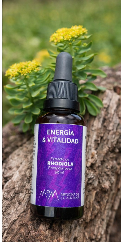 Extractos y Esencias Botánicas de Bienestar