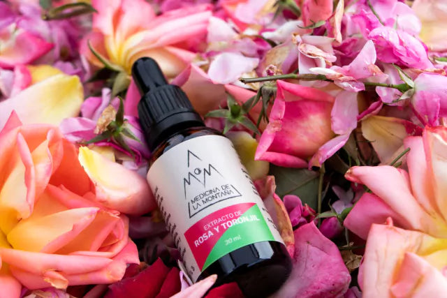 Extractos y Esencias Botánicas de Bienestar