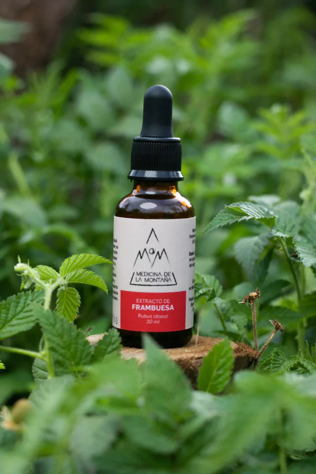 Extractos y Esencias Botánicas de Bienestar