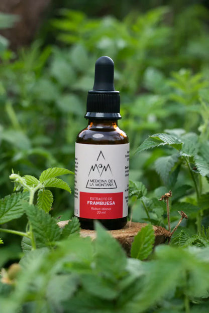 Extractos y Esencias Botánicas de Bienestar