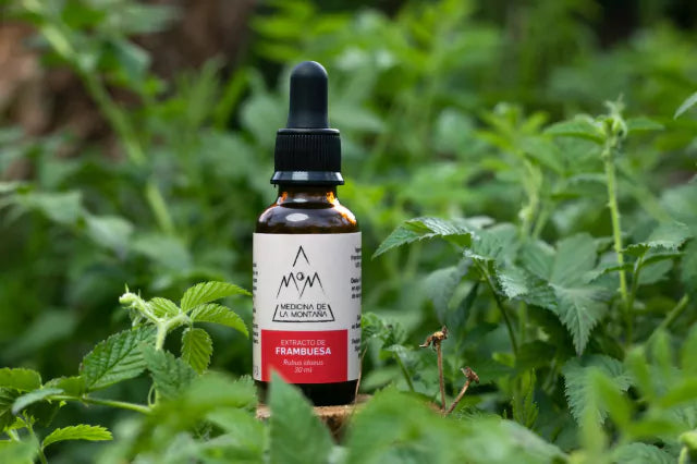 Extractos y Esencias Botánicas de Bienestar